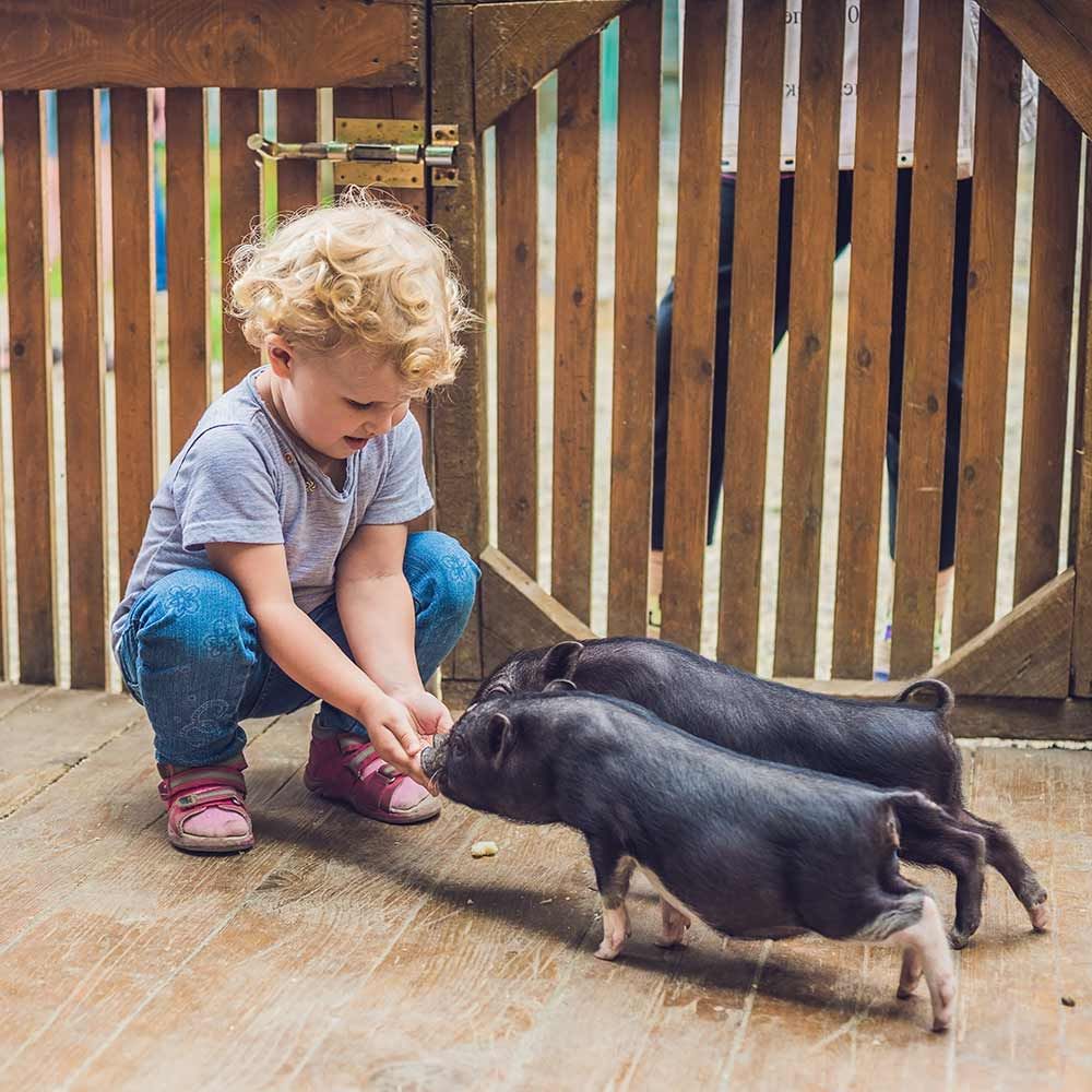 Mutter und Tochter besuchen einen Streichelzoo mit Kaninchen